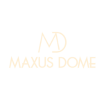 BRAND GUIDELINE MAXUS DOME-05 (1) (1)